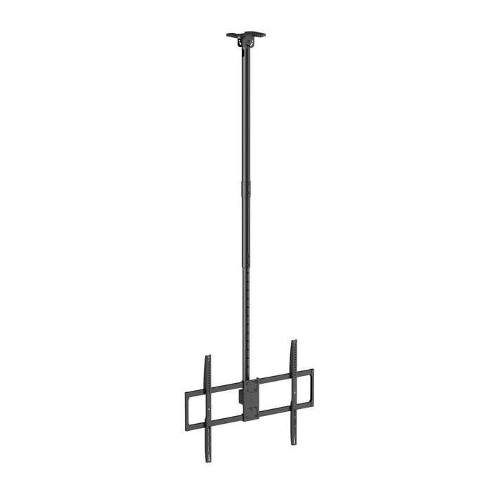 Support de plafond Wolff 50-100 pouces – Super solide, pivotant et réglable